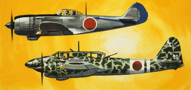 A kékbe: Világháborús japán repülőgépek alkotó: Wilf (20th century) Hardy