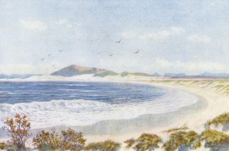 Blaauwberg és a Tábla-öböl feje (színes litográfia) alkotó: Wilhelm Westhofen