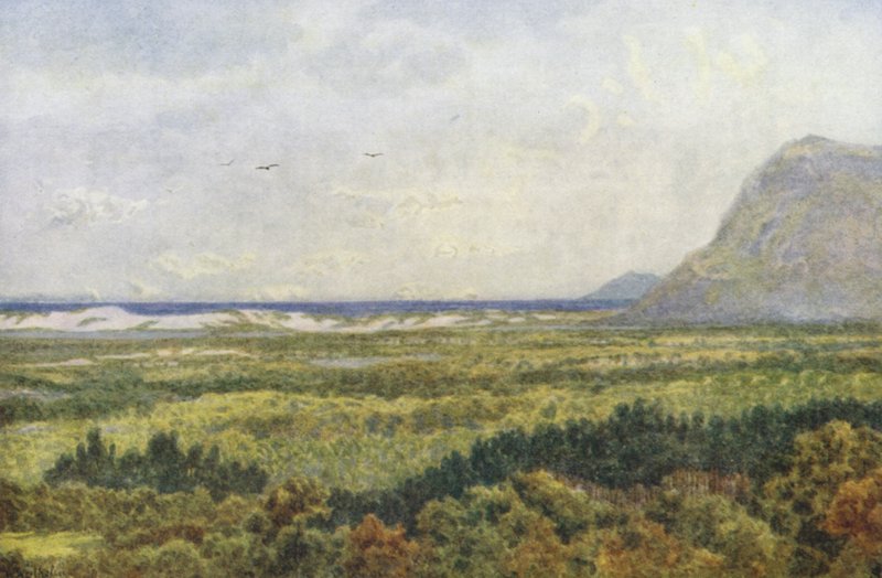 Constantia-völgy és a False Bay, a Cape Point-tal (színes lithó) alkotó: Wilhelm Westhofen