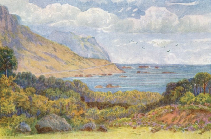 A Victoria Roadon, az Oude Kraal közelében (színes lithó) alkotó: Wilhelm Westhofen