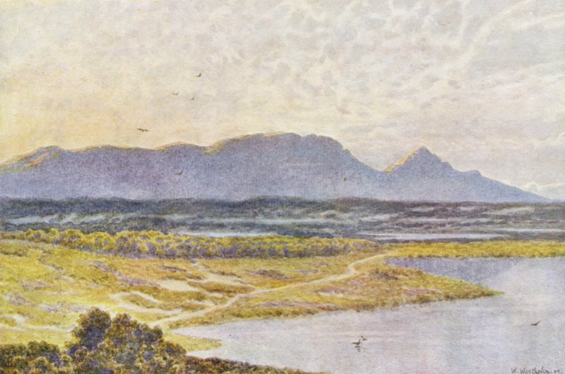 Asztal-hegy a Retreat Flats felől (színes litográfia) alkotó: Wilhelm Westhofen