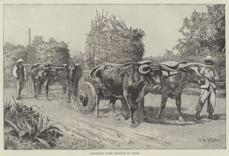 Mezőgazdasági termékek szállítása Chilében alkotó: William Barnes Wollen