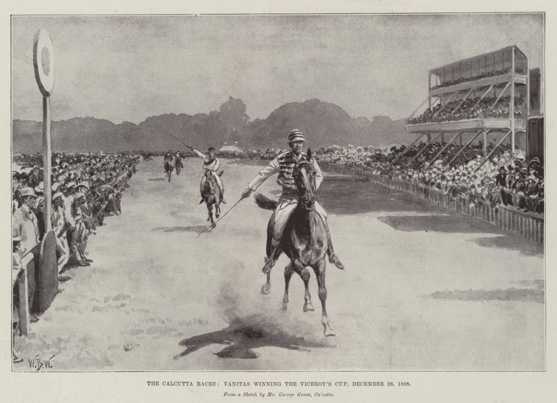 A Calcutta Races, Vanitas megnyerte a Viceroy