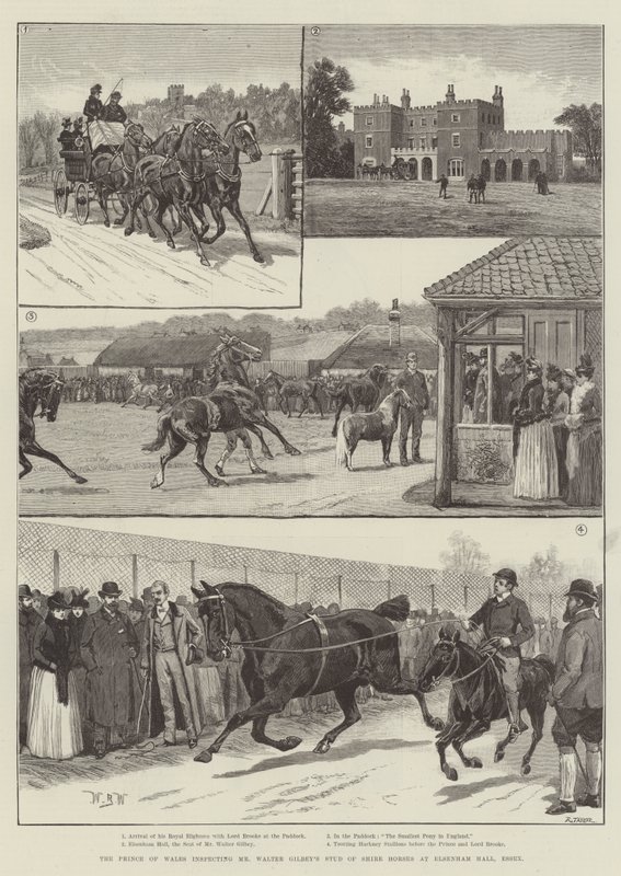 A walesi herceg megvizsgálja Walter Gilbey Shire Horses ménesét az essexi Elsenham Hallban alkotó: William Barnes Wollen