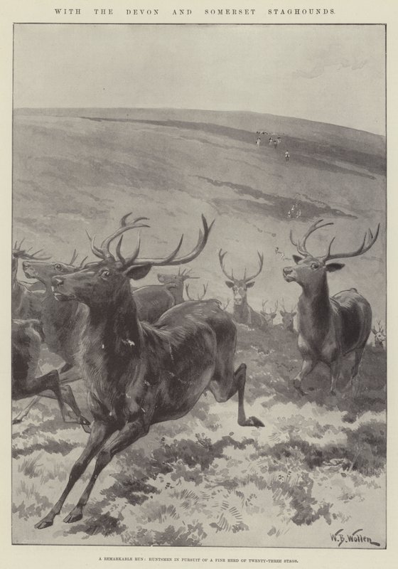 A Devon és Somerset Staghounds alkotó: William Barnes Wollen
