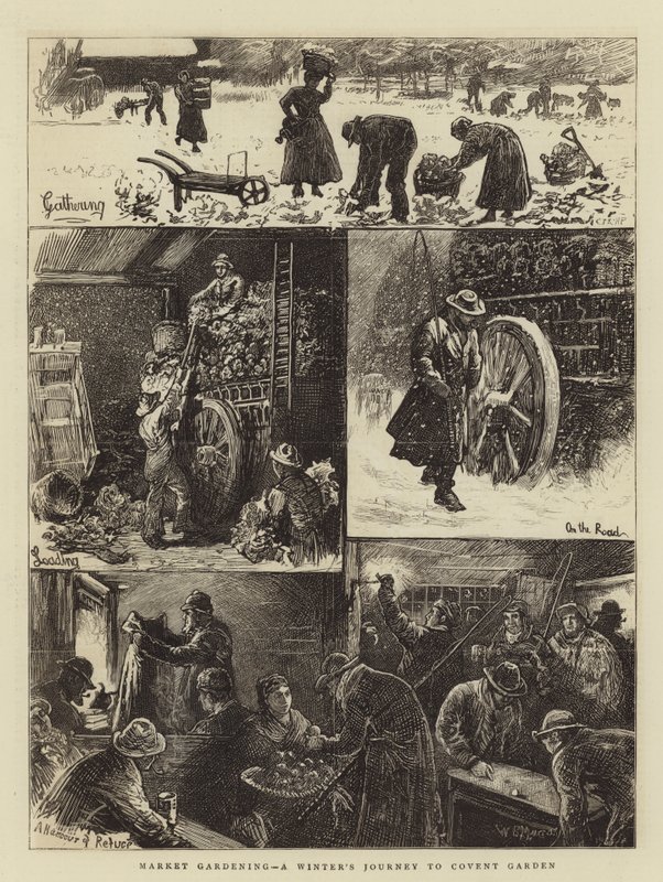 Market Gardening, egy téli utazás Covent Gardenbe alkotó: William Bazett Murray