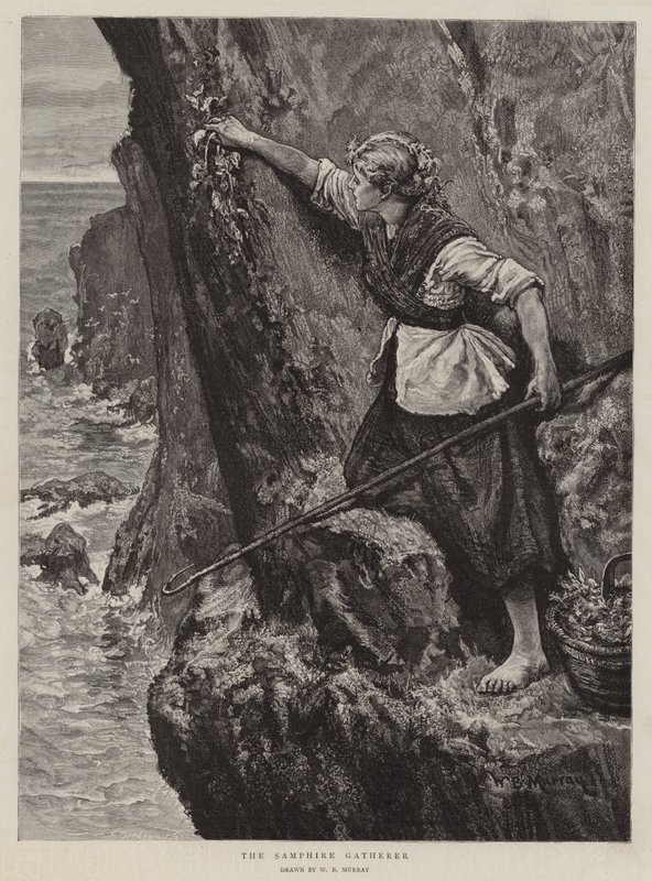 A Samphire Gatherer alkotó: William Bazett Murray