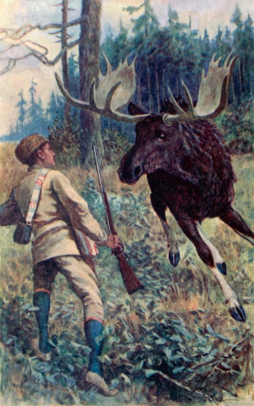A jávorszarvas nekiugrott alkotó: William Henry Charles Groome