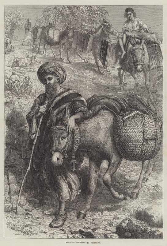 Jeruzsálembe tartó gyümölcsárusok alkotó: William J. Webbe or Webb