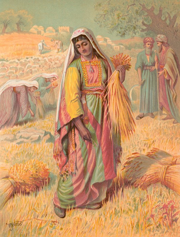 Ruth alkotó: William J. Webbe or Webb