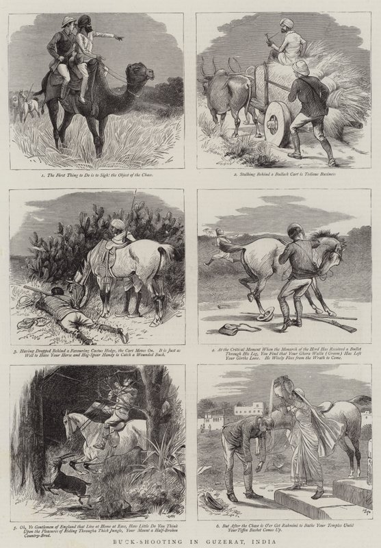 Buck-lövés Guzeratban, Indiában alkotó: William Ralston
