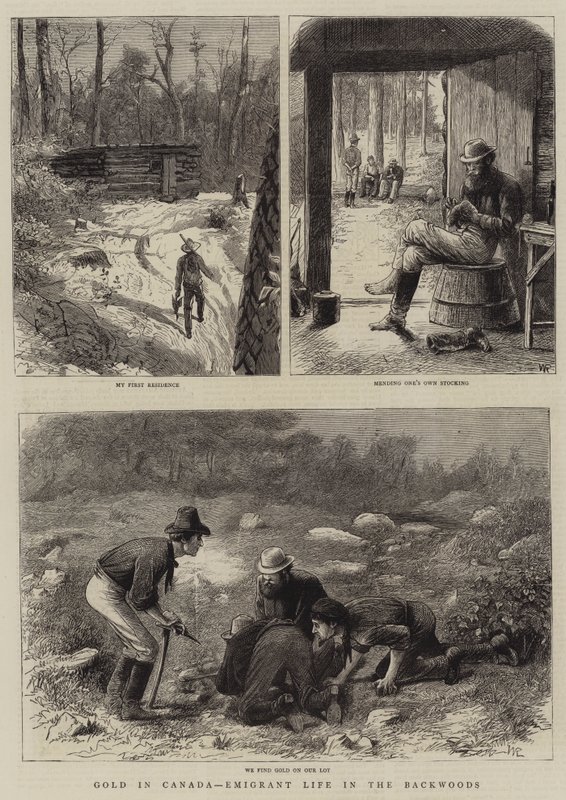 Arany Kanadában, Kivándorló Élet a Backwoodsban alkotó: William Ralston