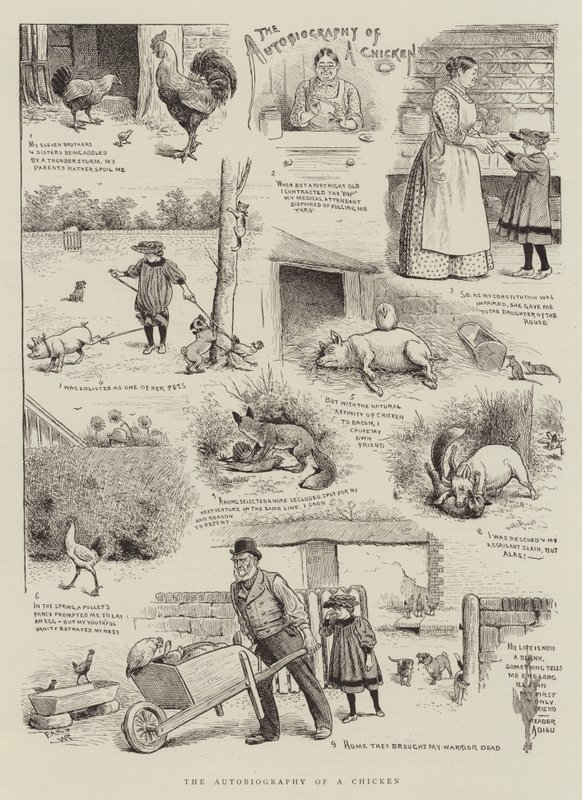 Egy csirke önéletrajza alkotó: William Ralston