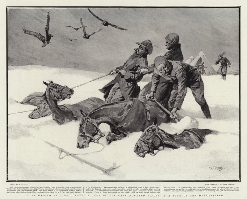 Hóvihar a Cape Colony-ban, a Cape-on szerelt puskák tábora a Drakensberg hegyoldalán alkotó: William T. Maud