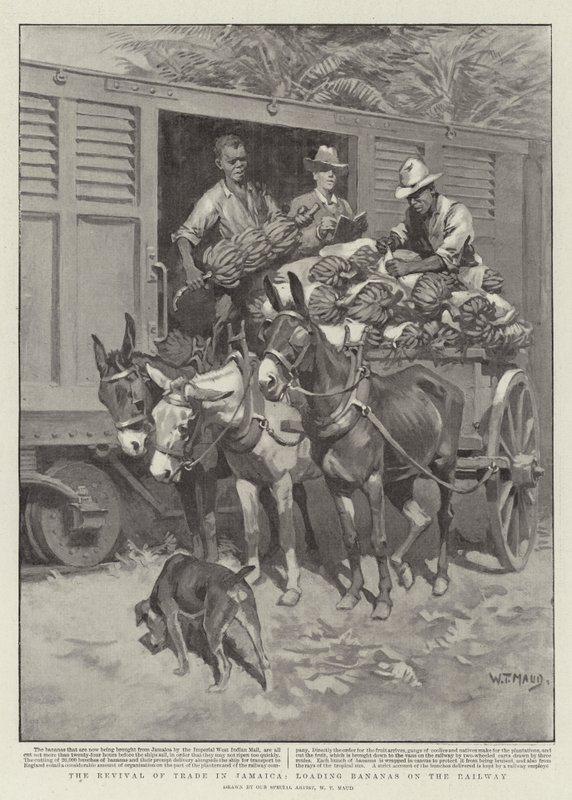 A kereskedelem újjáéledése Jamaicában, banánrakodás a vasútra alkotó: William T. Maud
