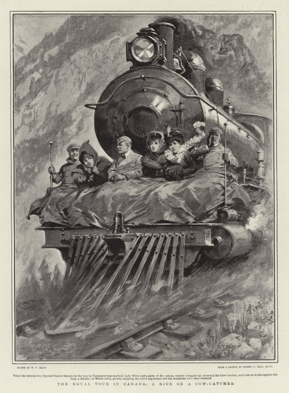 Királyi túra Kanadában, tehénfogó lovaglás alkotó: William T. Maud