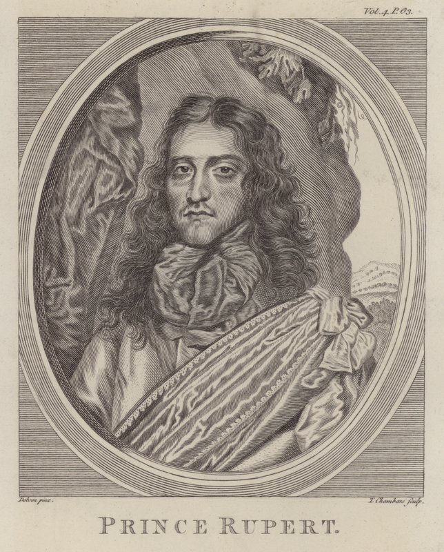 Rupert rajnai herceg, német katona, aki a királypárti oldalon harcolt az angol polgárháborúban (metszet) alkotó: William (after) Dobson
