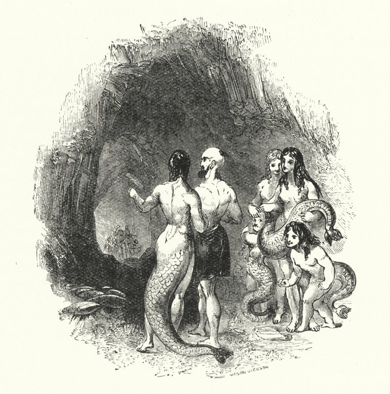 „A föld Abd-Allahja a tenger Abd-Allah házában (metszet) alkotó: William (after) Harvey