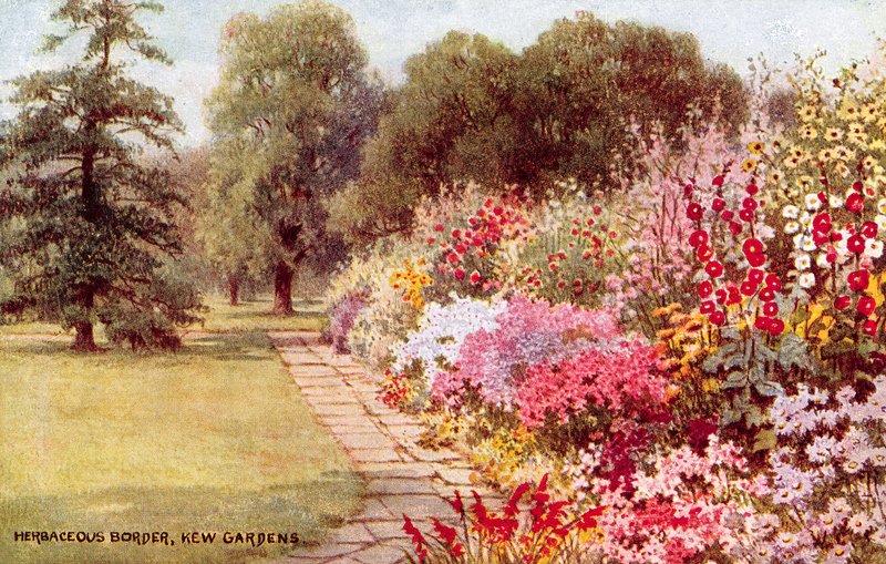 Herbaceous Border, Kew Gardens alkotó: William Affleck Carruthers