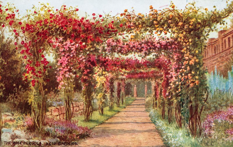 A Rose Pergola, Kew Gardens alkotó: William Affleck Carruthers