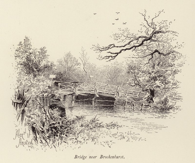 Híd Brockenhurst közelében (metszet) alkotó: William Alexander Ansted