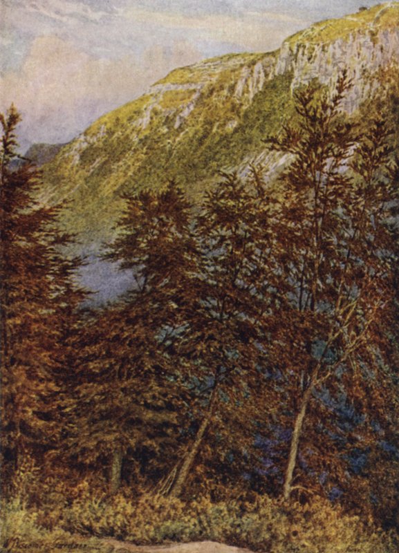 Raven Dale, Cressbrook alkotó: William Biscombe Gardner