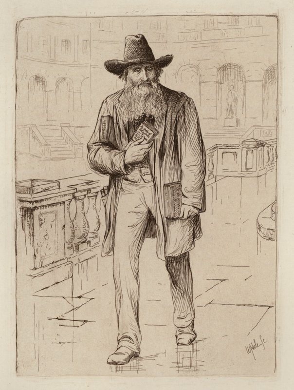 Alexander Campbell Fraser, a logika és metafizika professzora (metszet) alkotó: William Brassey (after) Hole