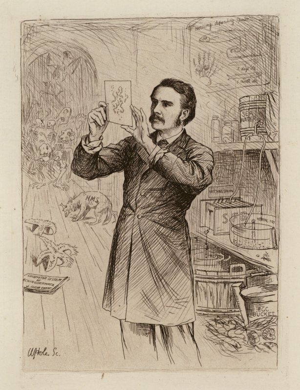 James Cossar Ewart, a természettudomány professzora (metszet) alkotó: William Brassey (after) Hole