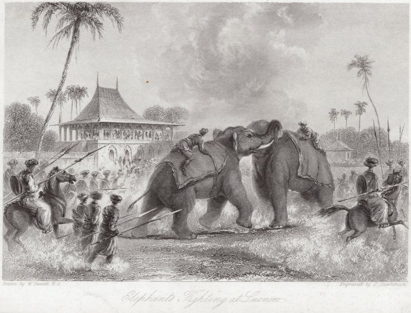 Elefántok harcolnak Lucknowban alkotó: William Daniell