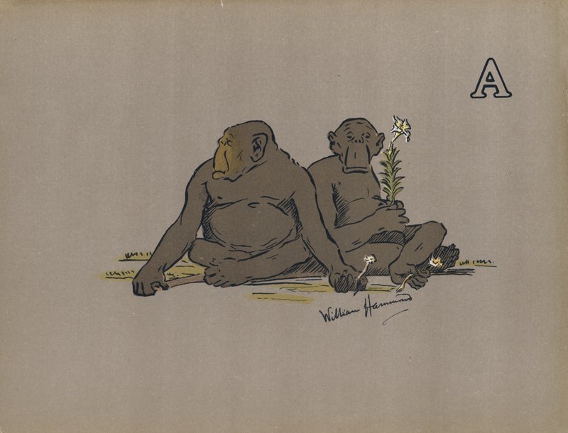 A betű: Esztétikus emberszabású majmok, akik rendellenesen apatikus magatartást tanúsítanak (színes litho) alkotó: William Hammond