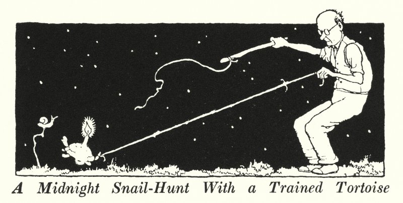 Éjféli csigavadászat idomított teknősbékával (litho) alkotó: William Heath Robinson