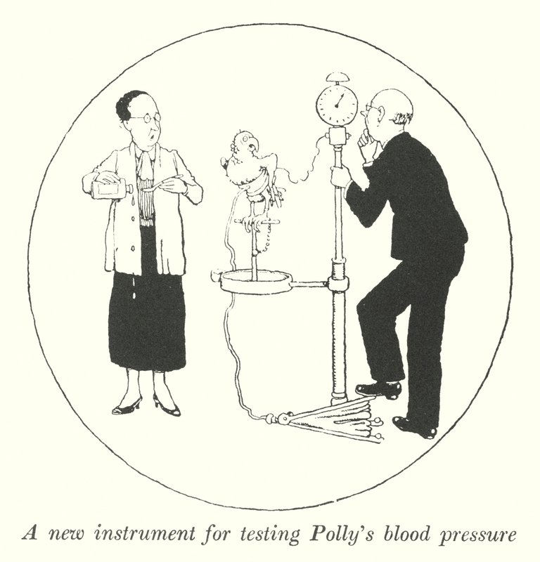Új műszer Polly vérnyomásának mérésére (litho) alkotó: William Heath Robinson