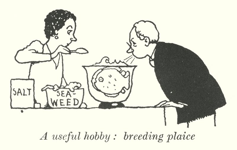 Hasznos hobbi, sima lepényhal (litho) alkotó: William Heath Robinson