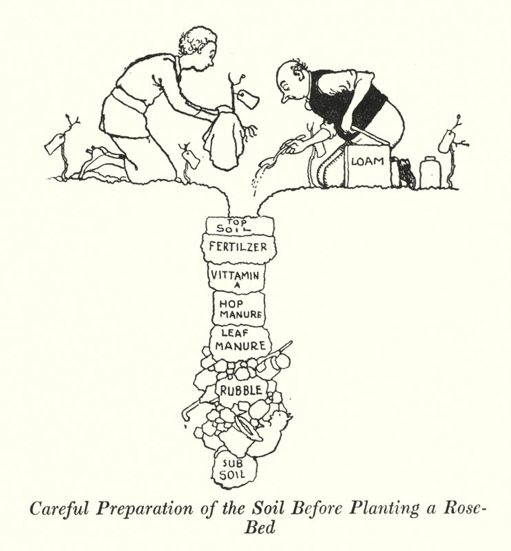 A talaj gondos előkészítése rózsaágyás (litho) telepítése előtt alkotó: William Heath Robinson