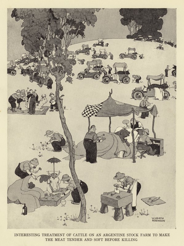 Érdekes bánásmód szarvasmarhákkal egy argentin állattartó telepen, hogy a hús puha és puha legyen a leölés előtt alkotó: William Heath Robinson