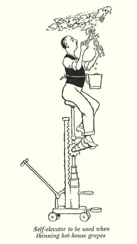 Önfelvonó melegházi szőlő ritkítására (litho) alkotó: William Heath Robinson