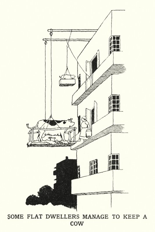 Néhány lakáslakónak sikerül tehenet tartania (litho) alkotó: William Heath Robinson