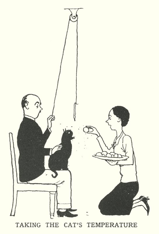 A macska hőmérsékletének mérése (litho) alkotó: William Heath Robinson
