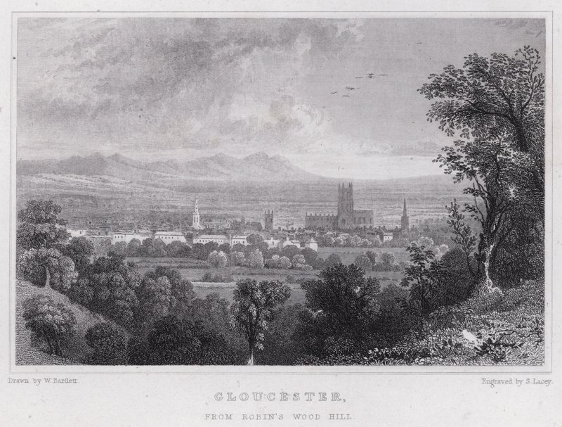 Gloucester, Robin