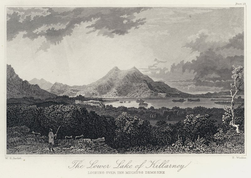 Killarney alsó tója, a Mucruss Demesne felett (metszet) alkotó: William Henry Bartlett