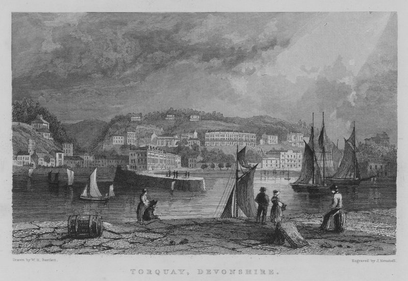 Torquay, Devonshire (metszet) alkotó: William Henry Bartlett