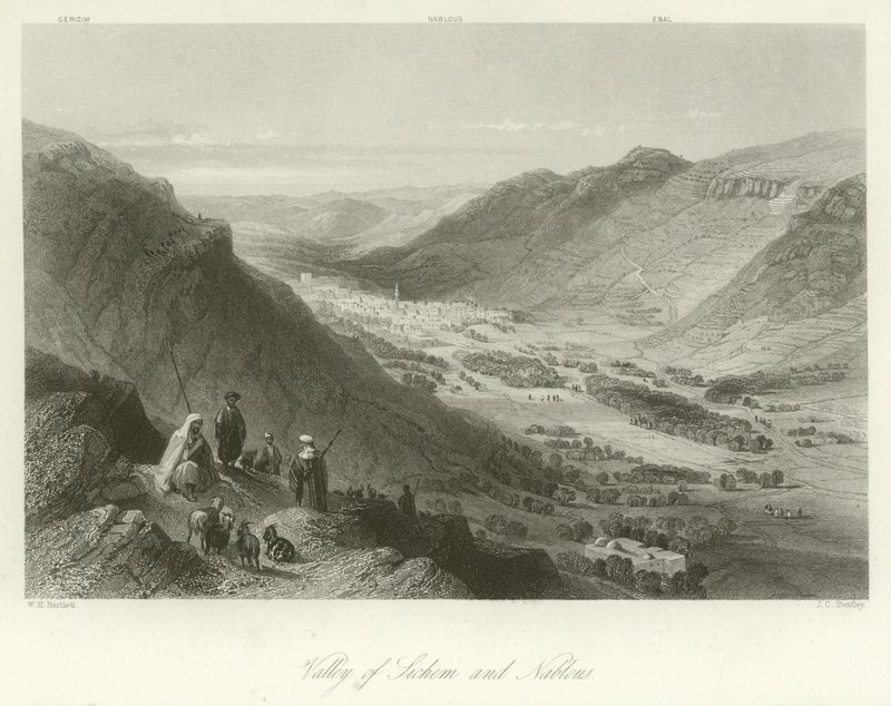 Szichem és Nablus völgye, Palesztina alkotó: William Henry Bartlett