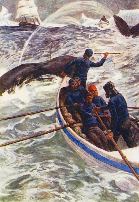 Illusztráció a The World of Ice or the Whaling Cruise of The Dolphin (színes litográfia) című könyvhöz. alkotó: William Henry Charles Groome