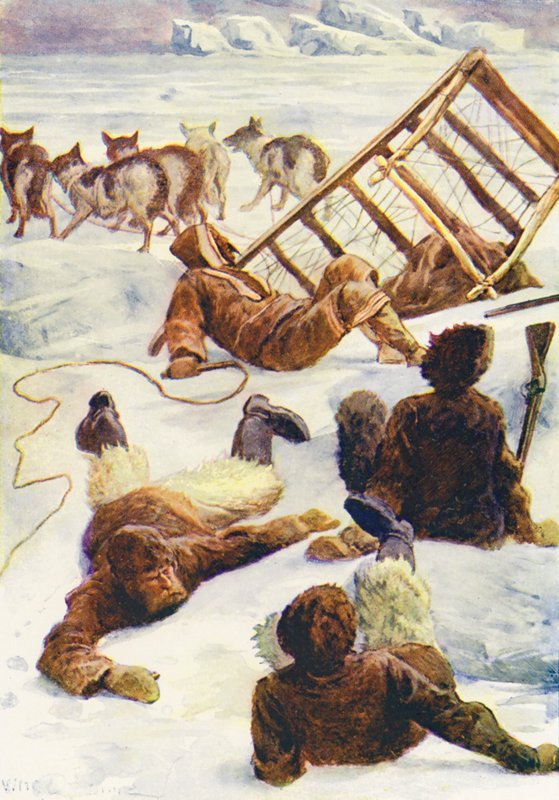 Illusztráció a The World of Ice or the Whaling Cruise of The Dolphin (színes litográfia) című könyvhöz. alkotó: William Henry Charles Groome