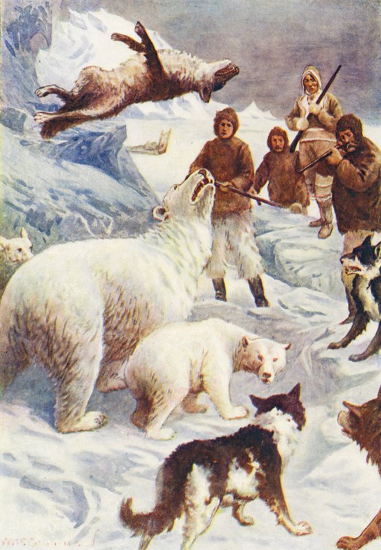Illusztráció a The World of Ice or the Whaling Cruise of The Dolphin (színes litográfia) című könyvhöz. alkotó: William Henry Charles Groome