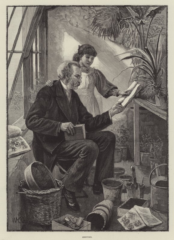 Seedtime alkotó: William Henry Charles Groome