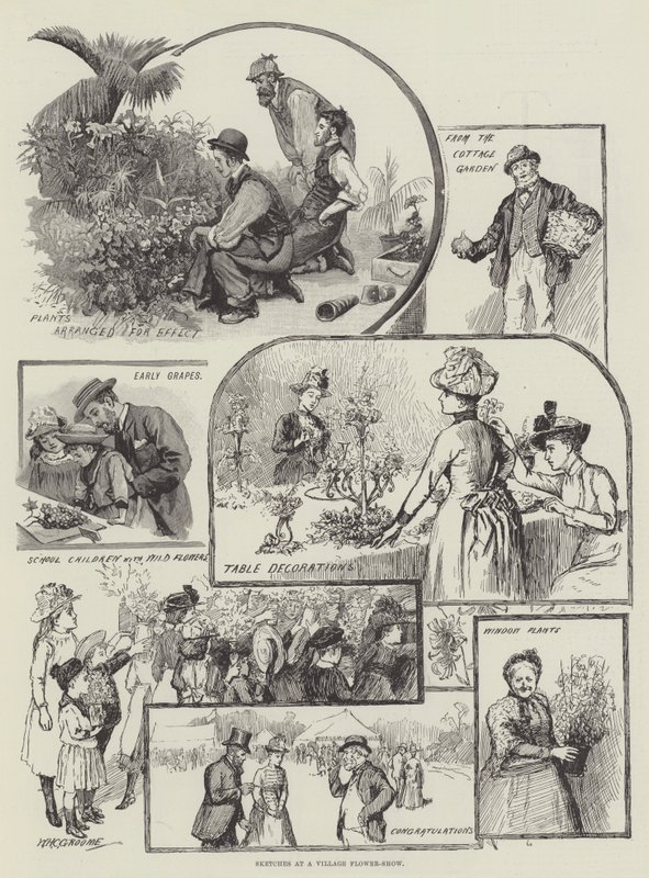 Vázlatok egy falusi virágbemutatón alkotó: William Henry Charles Groome