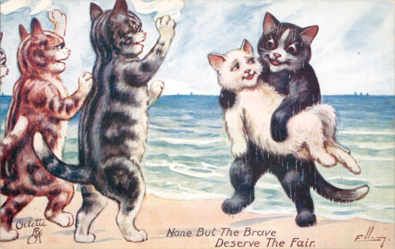 Humoros macskás képeslap (színes litográfia) alkotó: William Henry Ellam