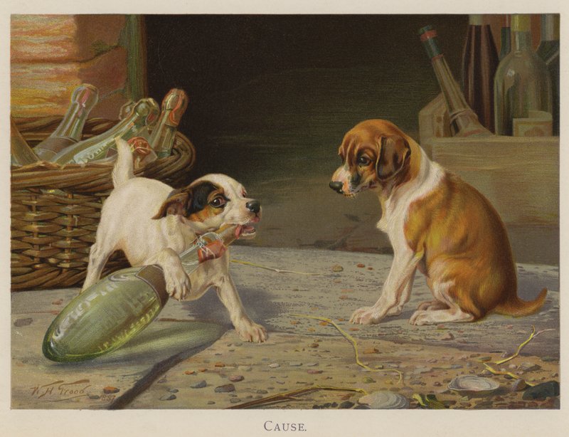 Ok (chromolitho) alkotó: William Henry Hamilton Trood