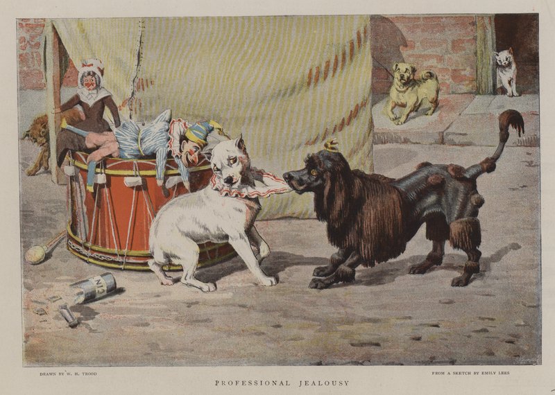 Szakmai féltékenység alkotó: William Henry Hamilton Trood